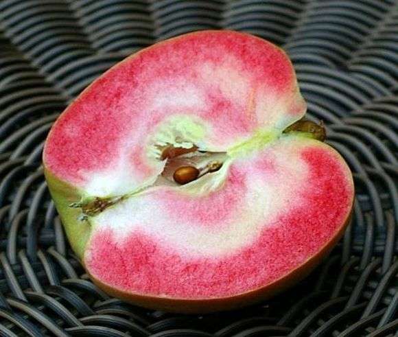 Сорт яблок «Розовый жемчуг»