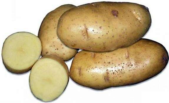 Сорт картофеля «Бриз»