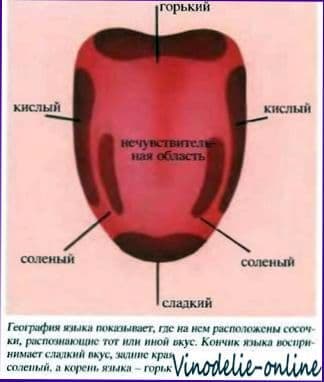 Как распробовать вино