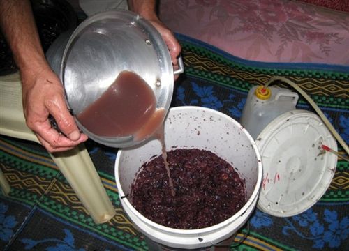 Изготовление вина в домашних условиях