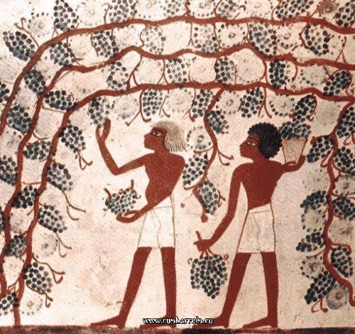 Виноделие в древности