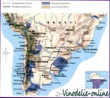Виноделие в Южной Америке