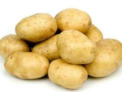 Сорт картофеля «Удача»