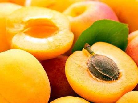 Сорт абрикоса «Ананасный»