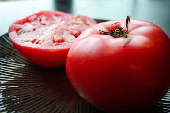 Сорт томатов «Ультраскороспелый»