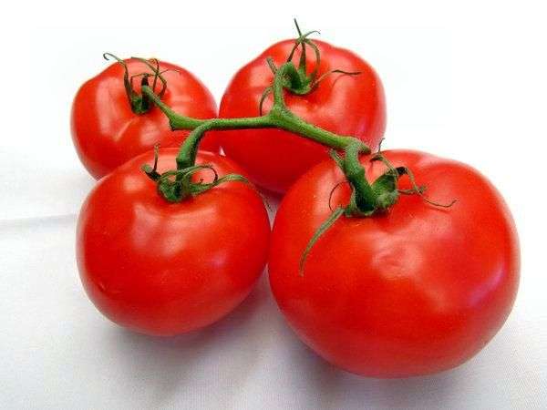 Сорт томатов «Ультраскороспелый»