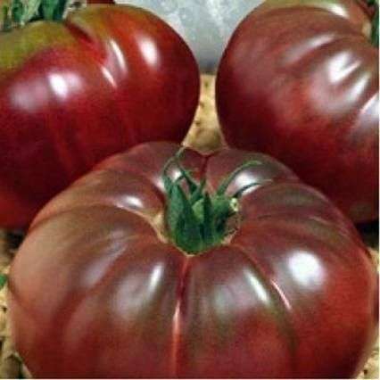 Сорт томатов «Арбузный»