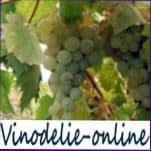 Биологические особенности виноградного растения