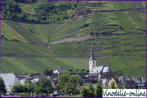 Виноделие в Германии