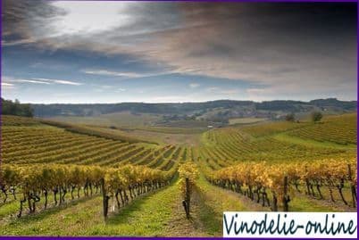 Виноделие во Франции