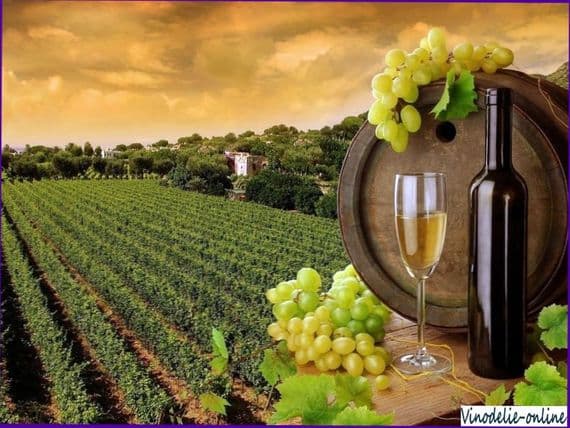 История виноделия во франции